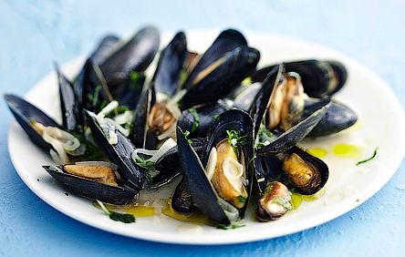 Moules im Topf mit Kräutern